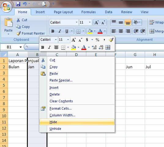 Ocultar columna de Excel 2007