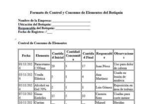 Formato control y consumo de elementos botiquín