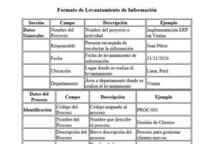 Formato de levantamiento de información en Excel