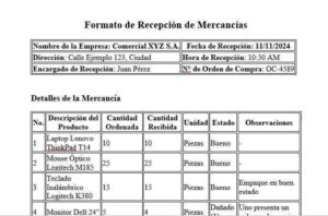 Formato de recepción de mercancías en Excel